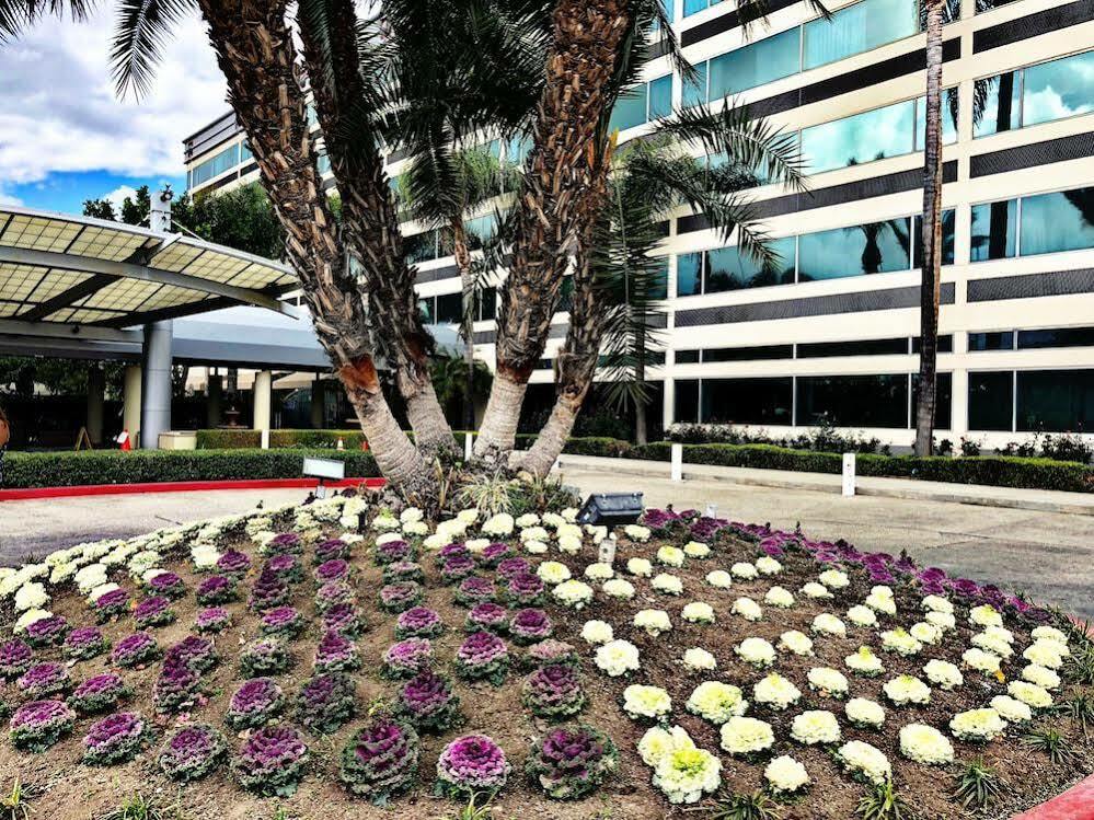 Sheraton Ontario Airport Hotel Εξωτερικό φωτογραφία